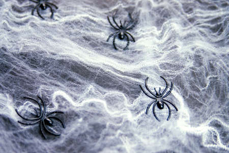 Halloween background with spiders in the web. White spider web with black decorative spiders. Happy Halloween concept. Texture of threads and weaves.の写真素材