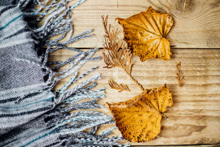 A soft plaid scarf with fringe lies on a light wooden background, autumn leaves are scattered...
