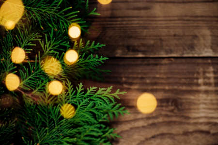 Background of Christmas lights of green thuja branches. A festive shiny garland is intertwined with...