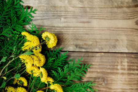 Yellow flowers and green branches of thuja on an old brown wooden background.Autumn little chrysanthemums. Empty space for the text.の写真素材