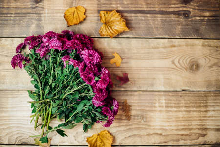 Purple flowers on an antique brown wooden background.Autumn little chrysanthemums. Empty space for the text. The flowers lie on an even border on one side.の写真素材