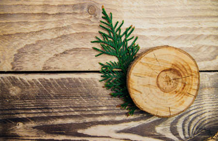 A cut of a tree on a wooden background. The concept of ecology. Empty space for the text. A twig of thuja. Natural background.の写真素材