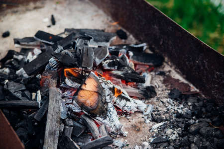 A brightly burning bonfire with a red flame made from wood in an outdoor grill.An adventurous...