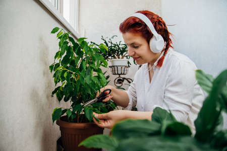gardening at home. A young woman takes care of plants in her home garden. The inner garden. Green...