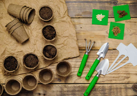 Top view of seeds and garden tools on a wooden background. Growing seedlings using peat cups. The...
