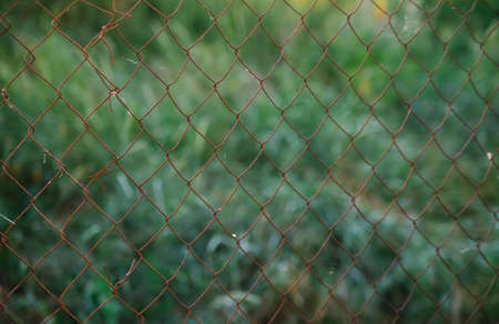 Mesh cage in the garden with green grass as background. Metal fence with wire mesh. Blurred view of the countryside. abstract background.の写真素材