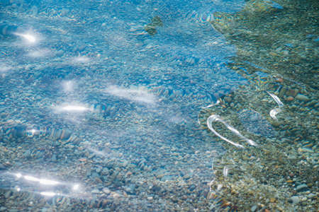 waves on the seashore. A clear sunny day. Clear, clean sea water. Holidays on the coast. natural background and texture.の写真素材