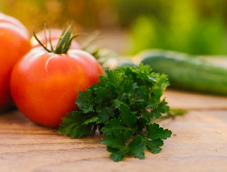 fresh vegetables on a wooden background. Cucumbers, tomatoes, garlic, dill. Contoured sunlight. organic farm. organic vegetables. summer harvest.の写真素材