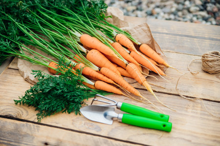 Fresh carrots on a wooden background. Garden tools. Rake and shovel. Vegetables and root vegetables are useful vitamins. Food for vegetarians. Homemade vegetables, eco-friendly. Agricultural industry.の写真素材