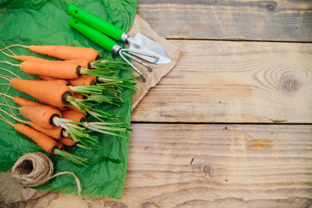 Fresh carrots on a wooden background. Garden tools. Rake and shovel. Vegetables and root vegetables are useful vitamins. Food for vegetarians. Homemade vegetables, eco-friendly. Agricultural industry.の写真素材