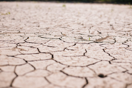 Dry, cracked earth. Drought. Lack of water for irrigation. Agricultural industry.The ground was...