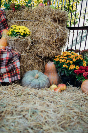 Autumn photo zone. Autumn decor using bales of natural straw, pumpkins, flowers, apples. Outdoor decorations for harvest and garden for Halloween, Thanksgiving. Composition in autumn style.の写真素材