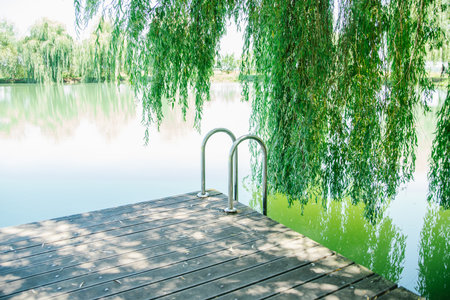 A bridge or pier on the lake. Willow tree on the background. Rest and beautiful scenery. Rustic style.の写真素材