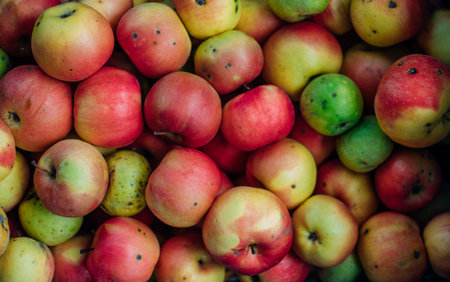 Ripe juicy apples in the box. The fruits are red and yellow in color. Autumn harvest.の写真素材