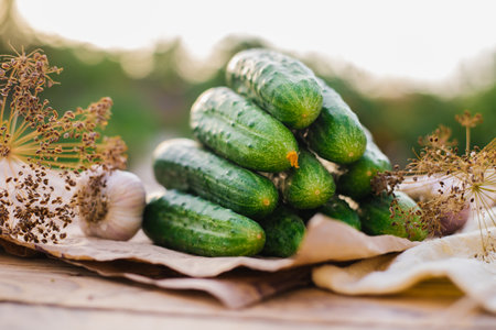 Cucumbers, herbs, dill, garlic on a wooden table in the garden or vegetable garden. Harvesting. Conservation, canning. Background, copy space. Sunny bright day.の写真素材
