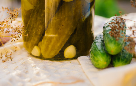 Salted, pickled cucumbers in a jar on a wooden table in the garden. Cucumbers, herbs, dill, garlic.Preservation, conservation. Background, copy space. Sunny bright day.の写真素材