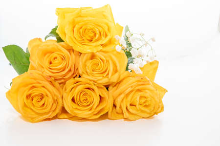 Beautiful yellow rose greeting card with flowers isolated on white backgroundの写真素材