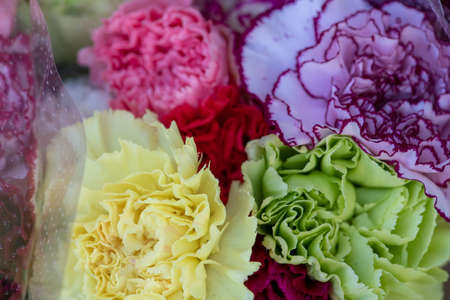 Natural flowers from The Flower Festival in Doha, Qatar 2021の写真素材