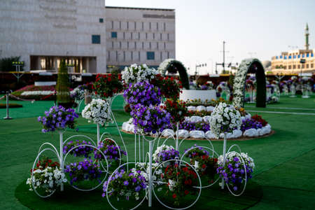 Natural flowers from The Flower Festival in Doha, Qatar, December 2021の写真素材