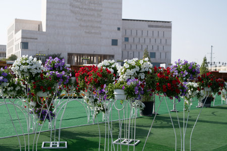Natural flowers from The Flower Festival in Doha, Qatar, December 2021の写真素材