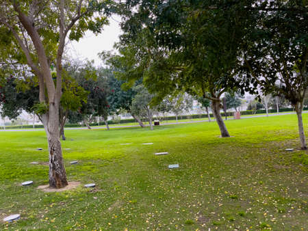 Katara Green Hills in Doha, Qatarの写真素材