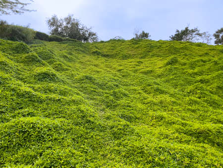 Katara Green Hills in Doha, Qatarの写真素材