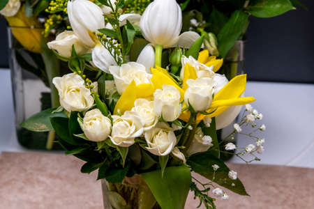Beautiful white flowers insulated against a dark backgroundの写真素材
