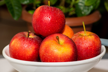 Red apples are isolated on a dark green background.の写真素材