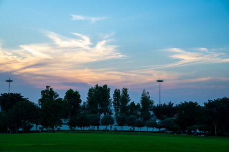 Sunset on the golf course in the evening, Doha Qatar
