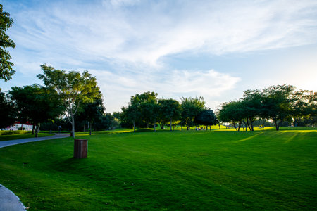 Beautiful green grass field with trees in a public park, Qatarの写真素材