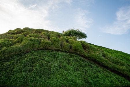 The green hill in Katara Park, Qatar