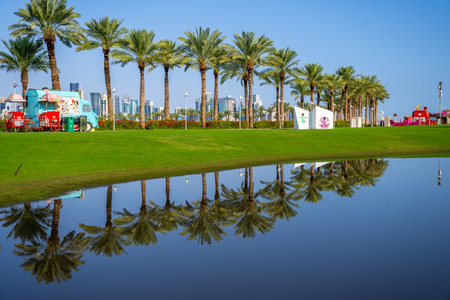 Doha, Qatar: Reflection of palm trees on the water at sunrise.
