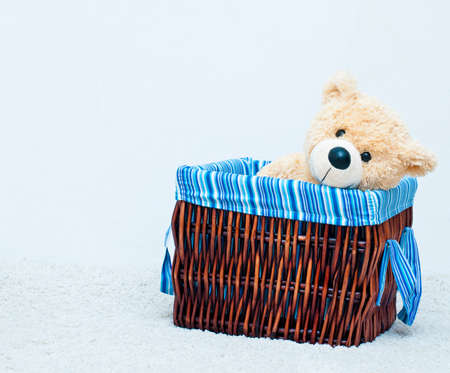 cuddly toy bear in the webbed basket on the white backgroundの写真素材