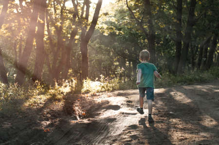 Boy running away in the forest on a summer sunny morning;の写真素材