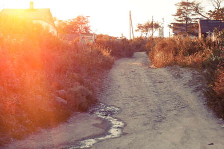 Beautiful autumn sunny sunset in a countryside, deserted roadの写真素材