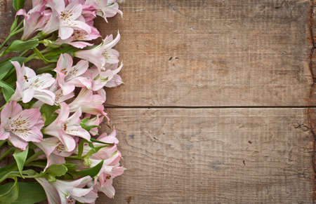 Tender beautiful flowers on vintage wooden backgroundの写真素材