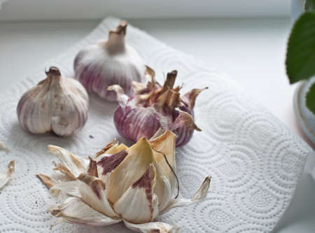 Fresh fragrant garlic bulbs on kitchen tableの写真素材