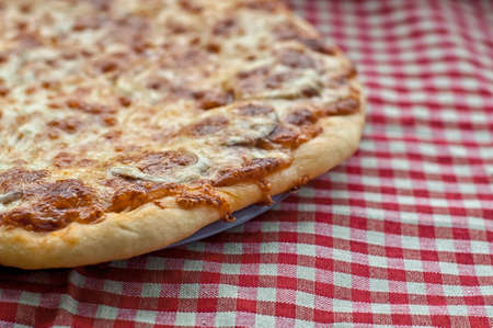 Pizza with crispy crust on gingham table cloth, cheese, margaritaの写真素材