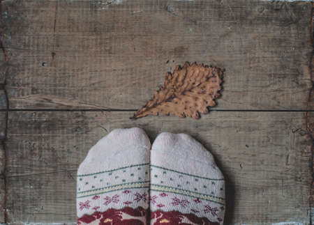Legs in knitted woolen warm socks and dry yellow oak leaf on wooden backgroundの写真素材