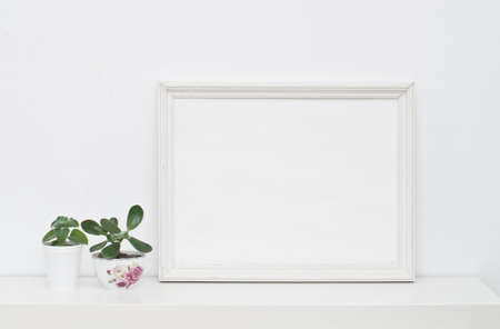 Old shabby canvas and flowers in potsの写真素材