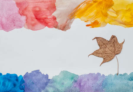 Multicolored watercolor strokes and dry maple leafの写真素材