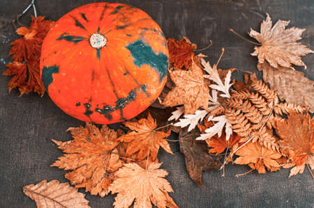 halloween orange pumpkin and dry maple leaves on autumnal wooden backgroundの写真素材
