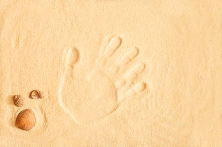 hand print in sand and sea shells on summer beachの写真素材