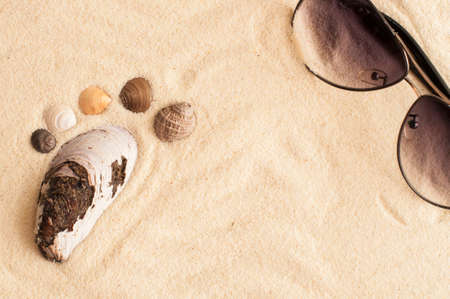 sea shells footprint and sunglasses on a sandy beachの写真素材