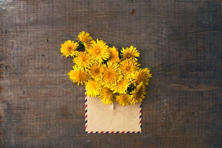dandelion flowers in the vintage envelope on the old wooden backgroundの写真素材