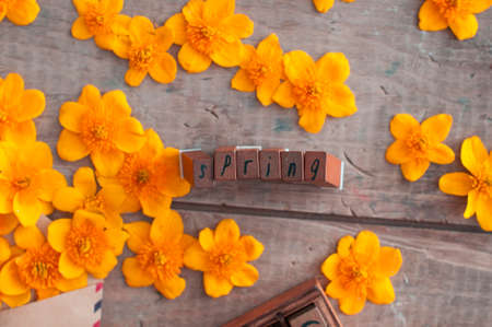 word spring by wooden stamps with pink gentle flowers on vintage table in the morningの写真素材