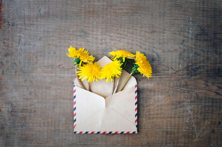 dandelion flowers in the vintage envelope on the old wooden backgroundの写真素材