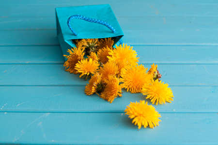 Dandelion flowers in the little blue bag on wooden tableの写真素材