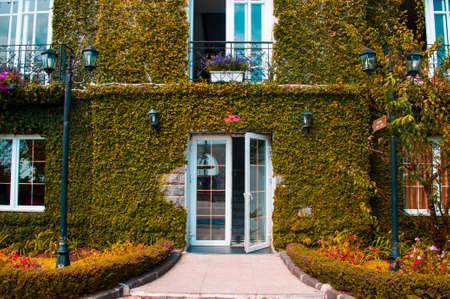 hotel entrance with green leaves coated walls and ancient street lamps