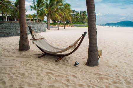 Hammock, white sand and palms in the My Khe beach, Danang, Vietnamの写真素材